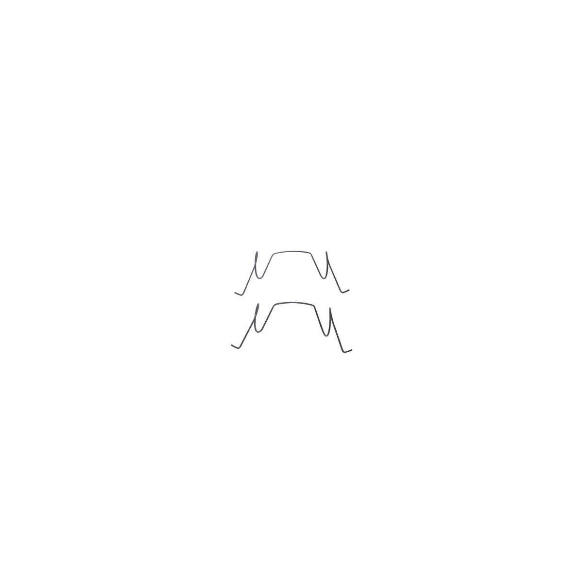 Trailer Parts Pro BP18-115 Anti-Rattle Springs, For Dexter 10-12K Disc Brakes,