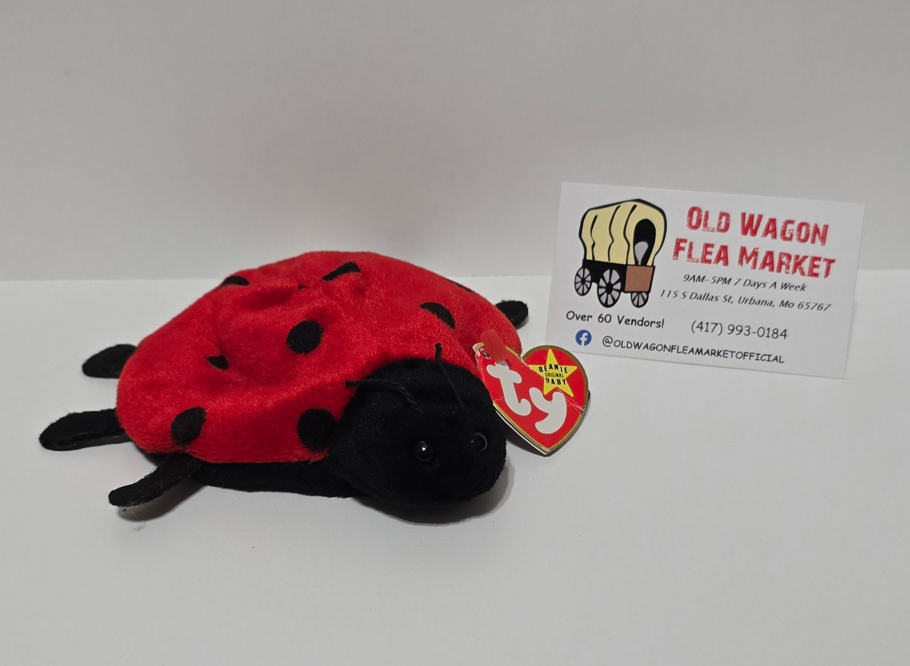 Beanie Baby "Lucky" With Tag Year 1993 ERROR  5-1-1995 Plush Toy Lady Bug