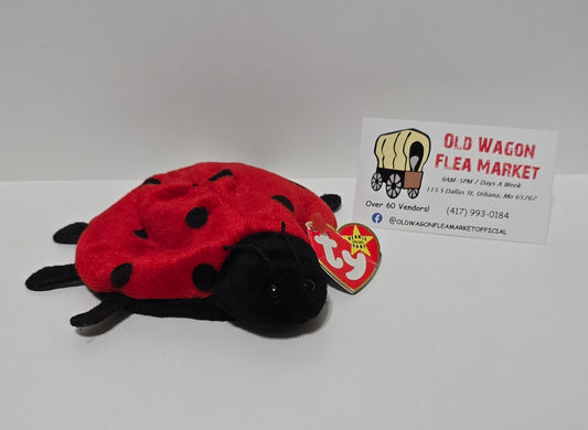 Beanie Baby "Lucky" With Tag Year 1993 ERROR  5-1-1995 Plush Toy Lady Bug